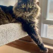 Thumbnail photo of Esmerelda #3