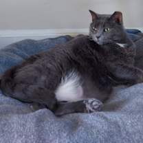 Thumbnail photo of Big Mama #4