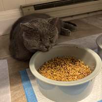 Thumbnail photo of Big Papi #4