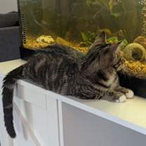 Thumbnail photo of Treasury #2