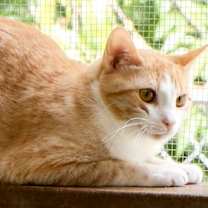 Thumbnail photo of Justine #2