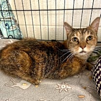 Thumbnail photo of Alice Franklin  #2