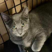 Thumbnail photo of Heather #2