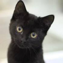 Thumbnail photo of Rain Drop #1