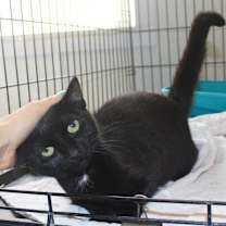 Thumbnail photo of June #3