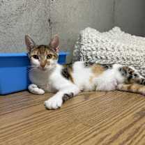 Thumbnail photo of Thumb-alina #3