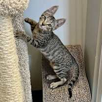 Thumbnail photo of Gumball #2