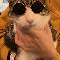 Thumbnail photo of Oliver #3