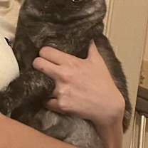 Thumbnail photo of Arya #3