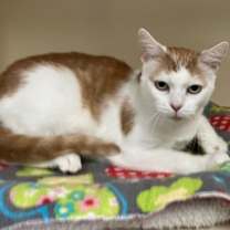 Thumbnail photo of Kiki #2