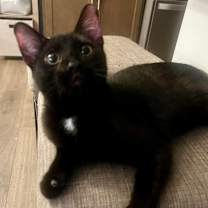 Thumbnail photo of MILO #3