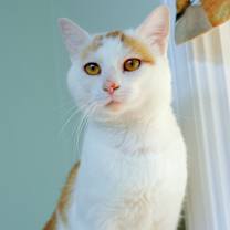 Thumbnail photo of Yonah #2