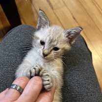 Thumbnail photo of Christina #3