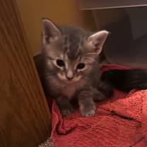 Thumbnail photo of Princess #3