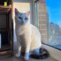 Thumbnail photo of Fes #3