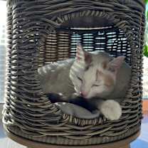 Thumbnail photo of Fes #4