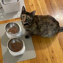 Thumbnail photo of Rosa 2 #4