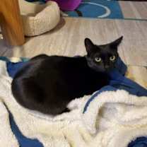 Thumbnail photo of Spicy #4