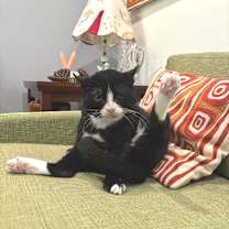 Thumbnail photo of Boomer #3