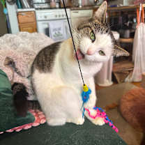 Thumbnail photo of Nessie #3