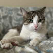 Thumbnail photo of Gina #3