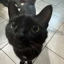 Thumbnail photo of Mio #1