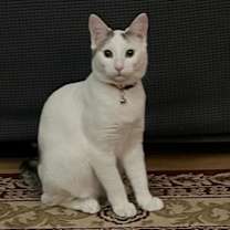 Thumbnail photo of Dotty #2