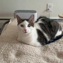 Thumbnail photo of Bennett #1