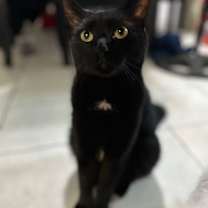 Thumbnail photo of Mio #4