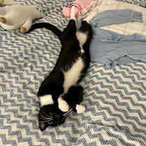 Thumbnail photo of Little bit #2