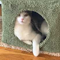 Thumbnail photo of Bennett #2