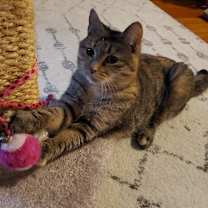 Thumbnail photo of Lily 7 #2