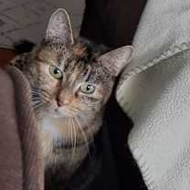 Thumbnail photo of Lily 7 #4