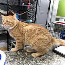 Thumbnail photo of Dundee #4