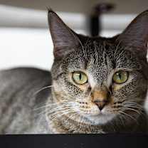 Thumbnail photo of Eleanor #2