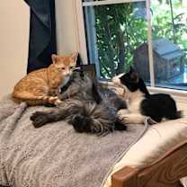 Thumbnail photo of Putter #3