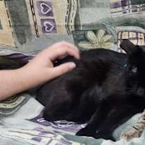 Thumbnail photo of Jill Simpson #2