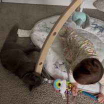 Thumbnail photo of Smokey #2