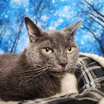 Thumbnail photo of Maine #2