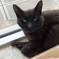 Thumbnail photo of Jolene #4