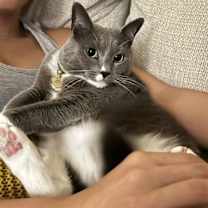 Thumbnail photo of Phoebe #4