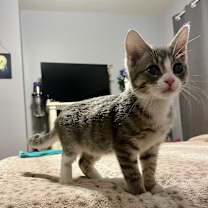 Thumbnail photo of Timmy #3