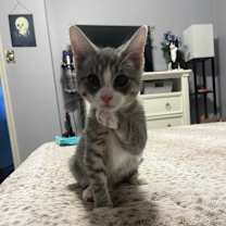 Thumbnail photo of Timmy #4