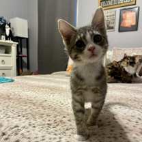 Thumbnail photo of Timmy #1