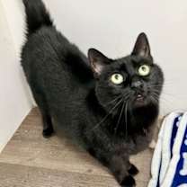 Thumbnail photo of Alfredo #1