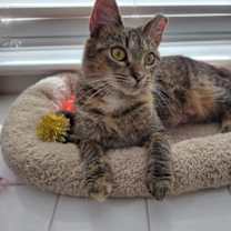 Thumbnail photo of Baby #1