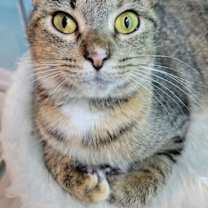 Thumbnail photo of Baby #3