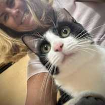 Thumbnail photo of Mini #2