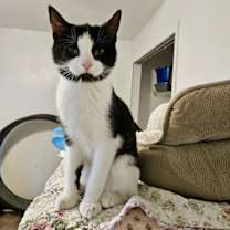 Thumbnail photo of Bay #3