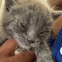 Thumbnail photo of Flotsam #2